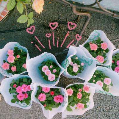 米博体育官方网站入口截图