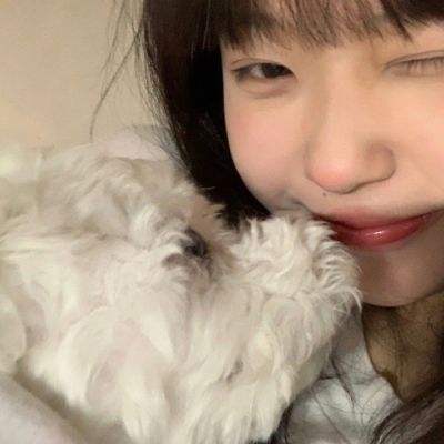 米博体育官方网站入口截图